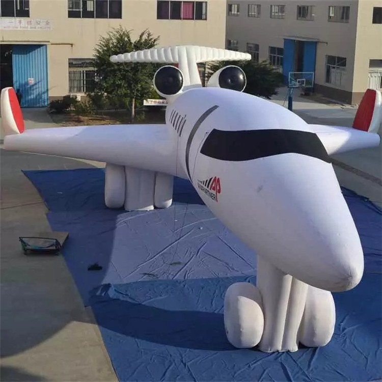 博尔塔拉充气飞机气模