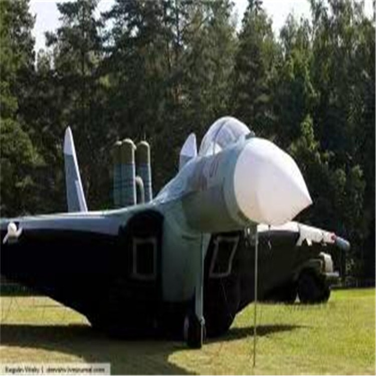 博尔塔拉充气模型飞机制造商家